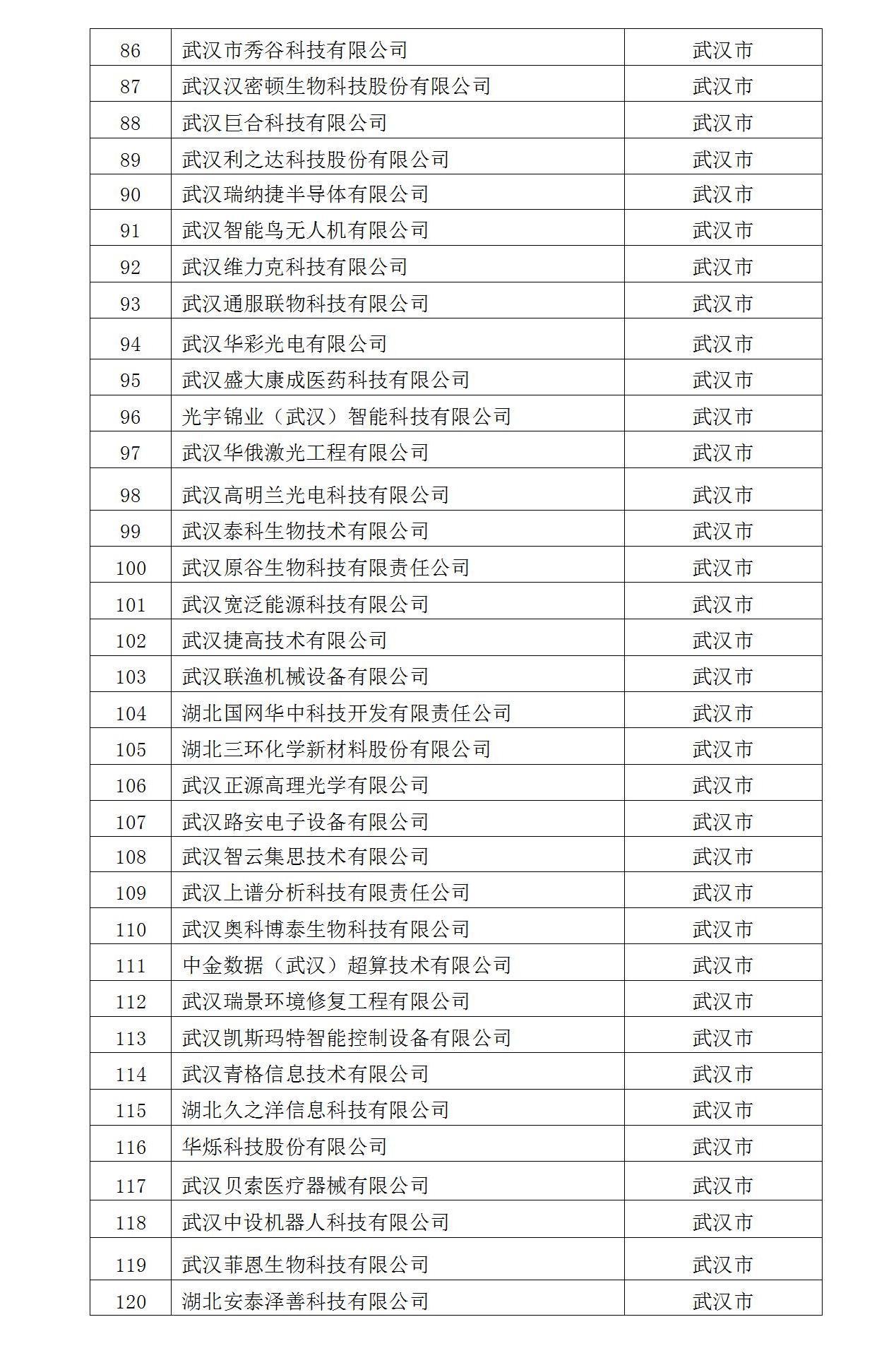 2022年入库湖北省科创“新物种”企业名单_04